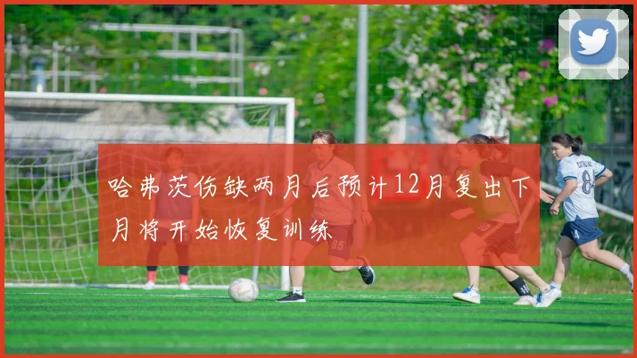 哈弗茨伤缺两月后预计12月复出下月将开始恢复训练