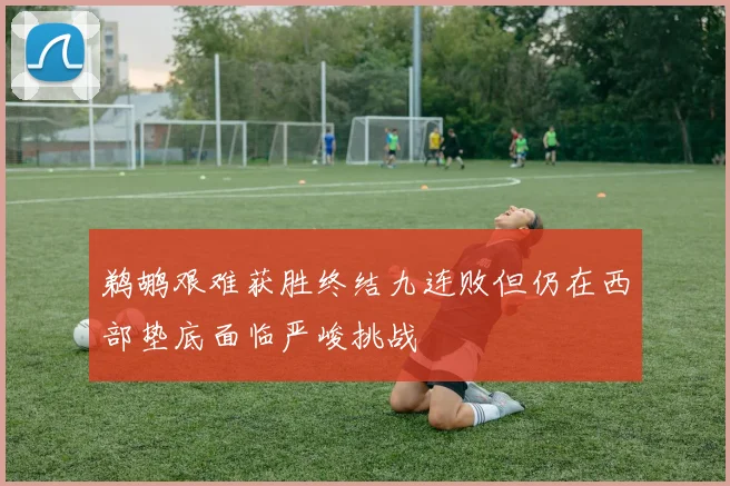 鹈鹕艰难获胜终结九连败但仍在西部垫底面临严峻挑战