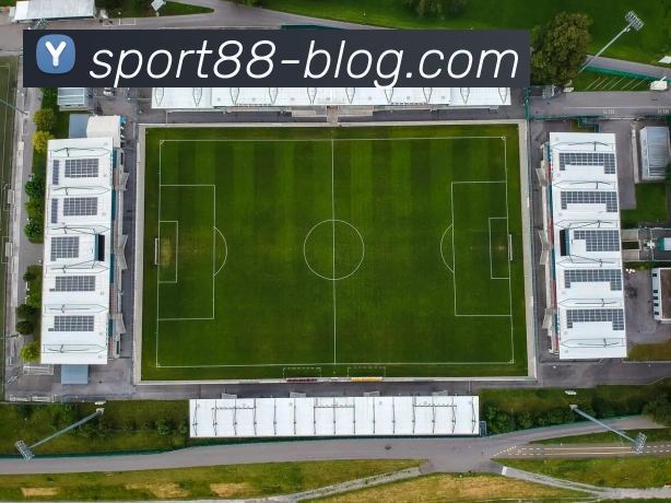 88体育平台生态图