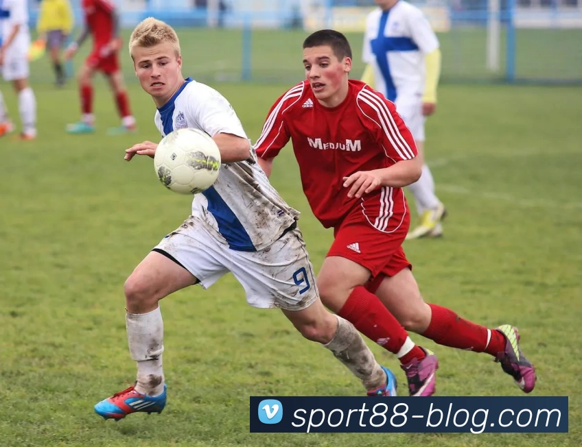 88体育APP 封面图